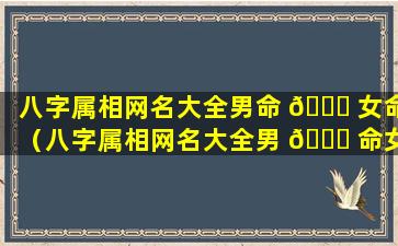 八字属相网名大全男命 🐒 女命（八字属相网名大全男 🐈 命女命怎么取）